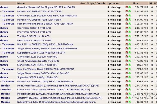 BT种子网站大全与BTFTP下载方式的探索-百挑一