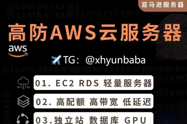 亚马逊云服务器硬件服务功能介绍-百挑一