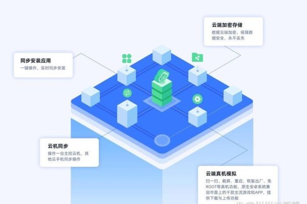 一年免费云主机，探索数字化转型的新机遇-百挑一