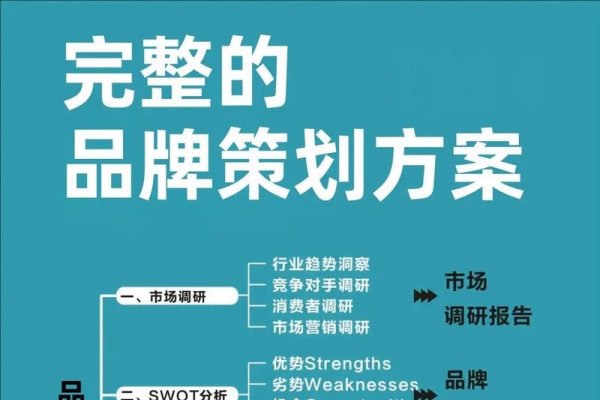 与品牌传播策略规划方案-百挑一