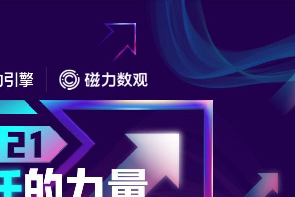 引擎搜索引领快手电商新篇章，探索电商新模式与未来趋势-百挑一