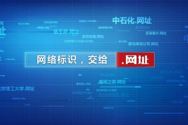 中国网域名的探索与展望-百挑一