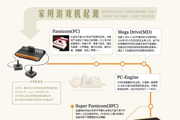 主机游戏与网络游戏差异解析，起源、特点与个人选择-百挑一