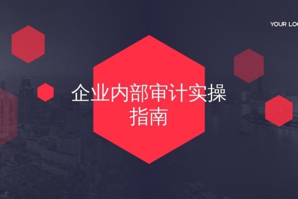 站群优化公司的崛起与挑战-百挑一