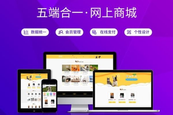 中山网页网站设计模板，打造专业且吸引人的网站-百挑一