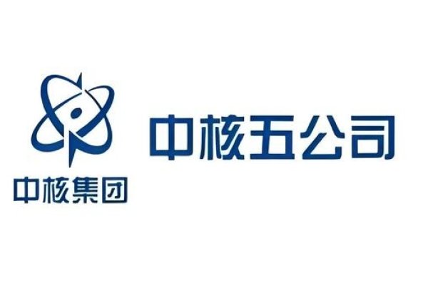 中核五公司LOGO，象征力量与创新的标志-百挑一