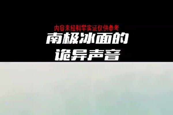 最新网站入口，探索与发现-百挑一