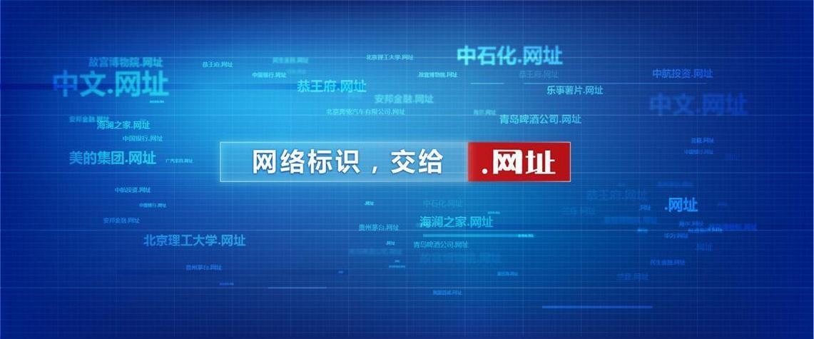 我国一级域名的发展与展望插图 我国一级域名的发展与展望插图