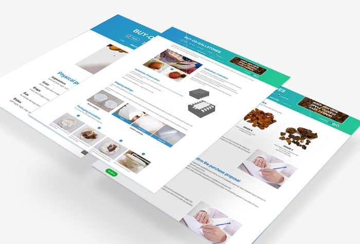 外贸网站建设选择指南,专业搭建独立站的全解决方案提供商探讨与推荐插图 外贸网站建设选择指南,专业搭建独立站的全解决方案提供商探讨与推荐插图