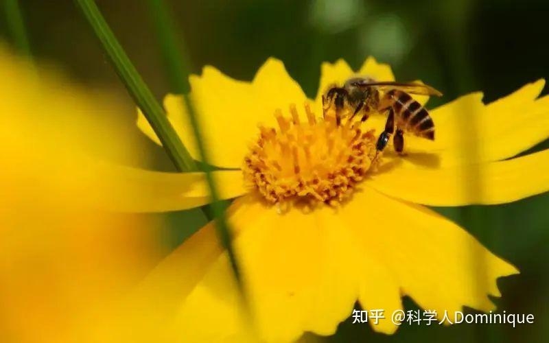 揭秘动画代码,定义、应用与重要性插图 揭秘动画代码,定义、应用与重要性插图