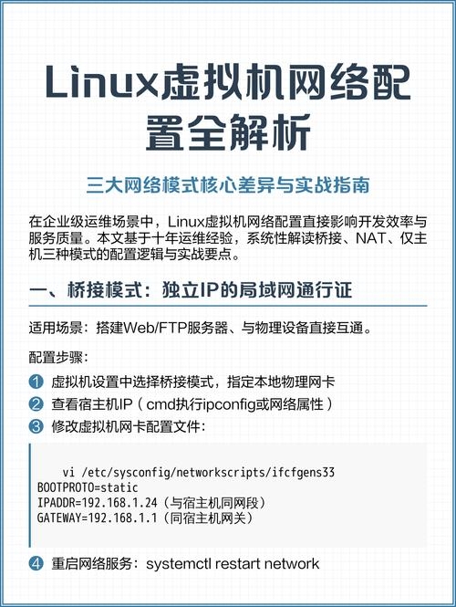 Linux虚拟机上网设置指南插图