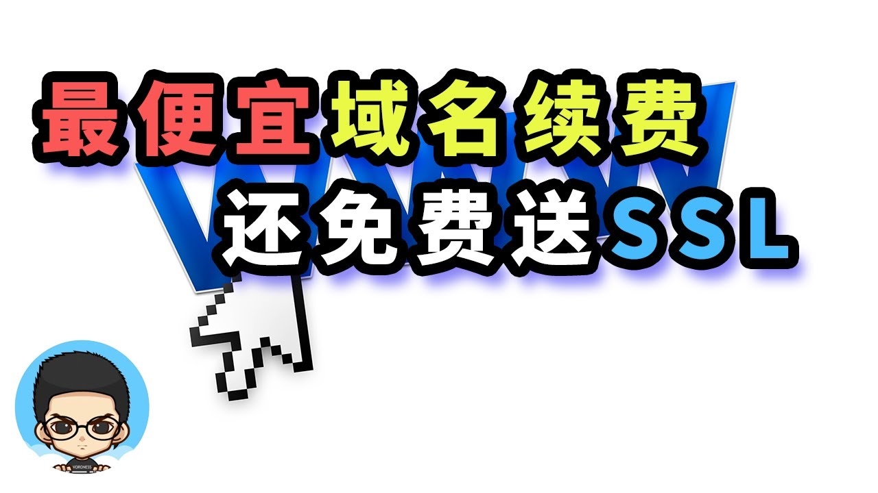 最便宜的域名续费选择插图 最便宜的域名续费选择插图