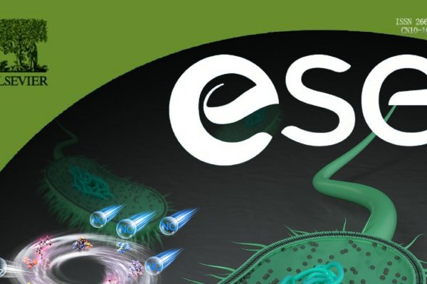 哈尔滨专业建站价格及东方科技企业优势特色介绍-方知甜