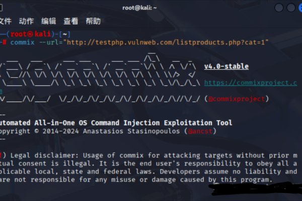DNS攻击工具指南-方知甜
