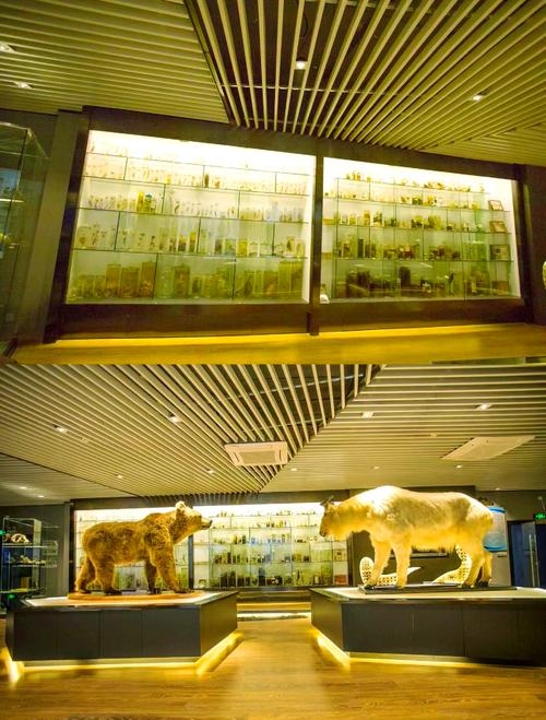 百度指数提交,探寻指数蛙的奥秘之旅插图 百度指数提交,探寻指数蛙的奥秘之旅插图