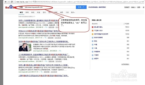 全球知名搜索引擎,功能对比与选择指南插图 全球知名搜索引擎,功能对比与选择指南插图