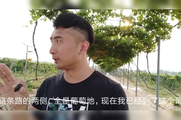 山东58黄页企业名录,探寻山东商业发展的黄金资源插图 山东58黄页企业名录,探寻山东商业发展的黄金资源插图