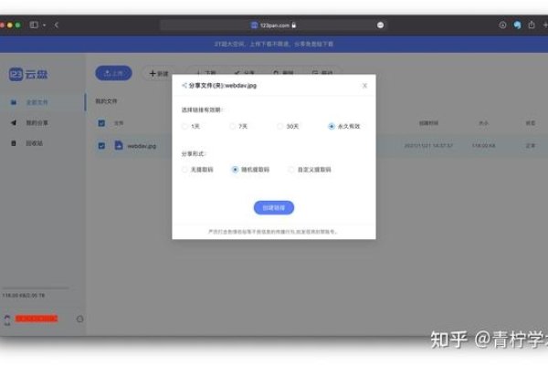 白菜外链网盘，高效存储与分享的新选择-红迪亚