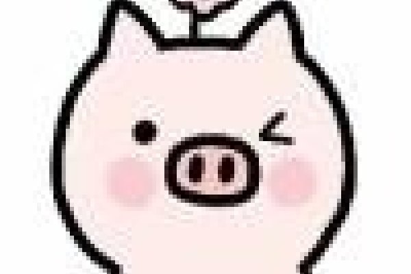 动态IP显示未联网,原因与解决方案-红迪亚