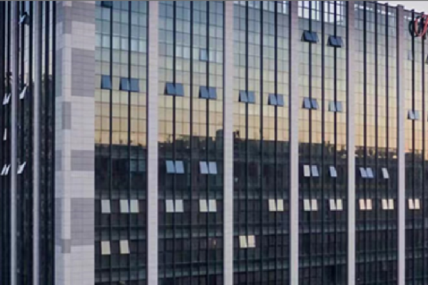 东莞网站网络公司,引领数字化时代的创新力量-红迪亚