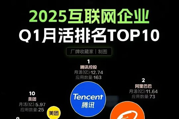 互联网企业排名解析与展望-红迪亚