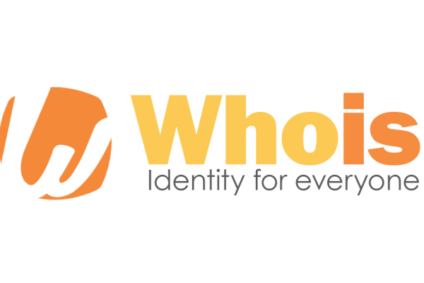 How to Use Whois Query for Baidu Domain Name Exploration (Including Steps)-红迪亚