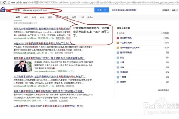 全球知名搜索引擎,功能对比与选择指南-红迪亚