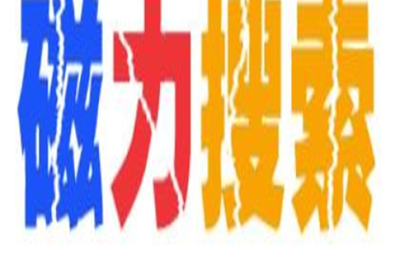 如何使用磁力搜索引擎进行高效搜索-红迪亚