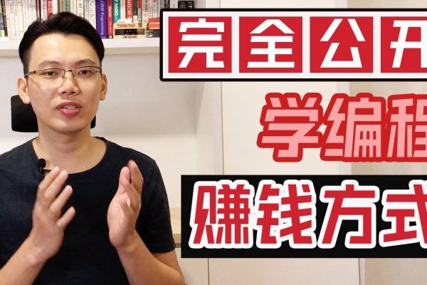如何制作赚钱网站—从入门到精通的指南-红迪亚