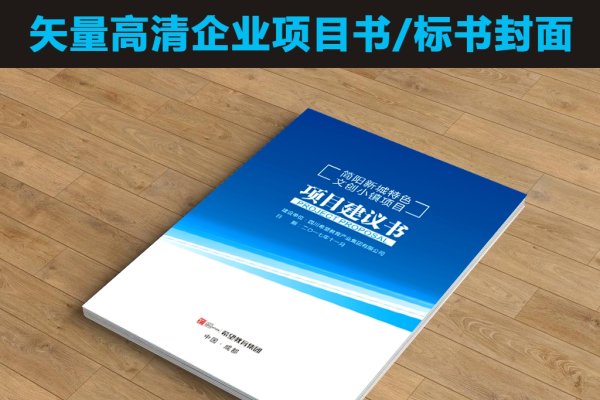 网站设计实施计划书指导与封面制作技巧-红迪亚