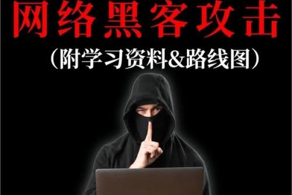 DDoS攻击软件风险警示，合法合规学习网络安全知识，切勿非法使用！-红迪亚