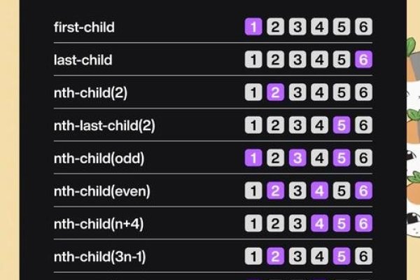 CSS选择器类型及其重要性-红迪亚