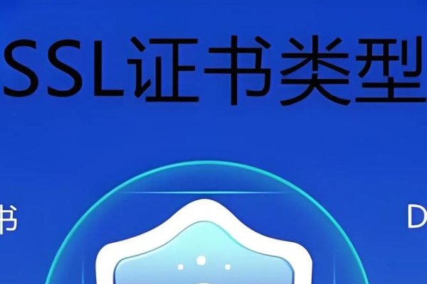SSL证书颁发机构有哪些-红迪亚