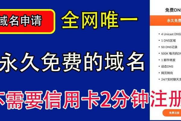 永久免费个人域名申请，轻松拥有专属网络标识-红迪亚