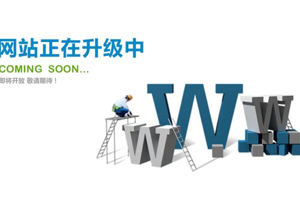 站点维护网站已关闭,理解与应对之道-红迪亚