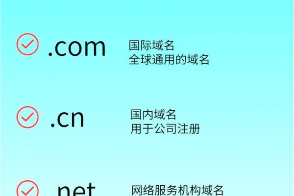 中文域名网址的种类与特点-红迪亚