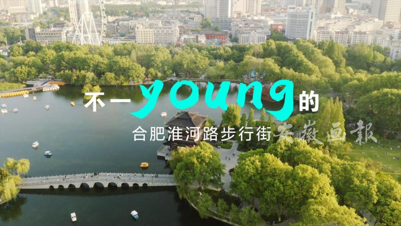 安徽搜索排名网站，引领地方互联网发展的先锋力量插图