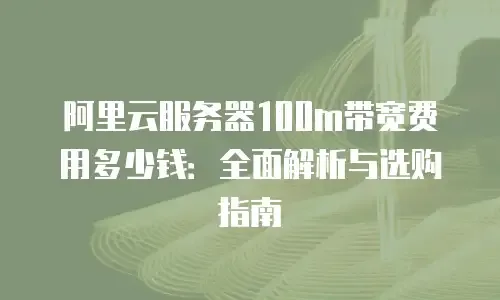 阿里云100M带宽价格解析插图