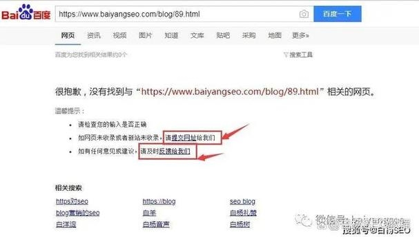 百度收录新站速成法插图