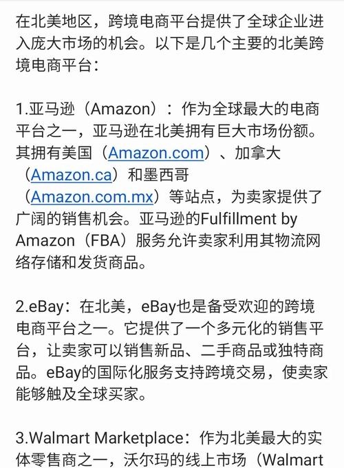 北美洲跨境电商平台推荐插图
