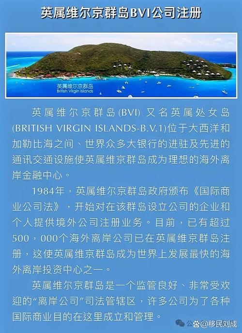 国外域名选择与权益保障插图