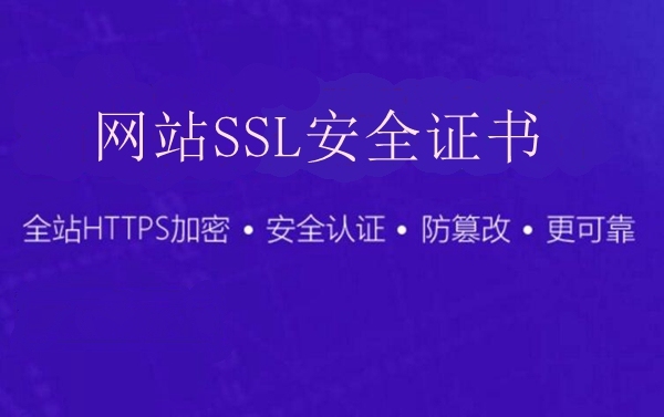 关于如何建立网站及SSL证书的相关指南与解答。插图