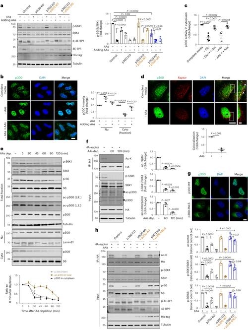 关于cellspacing的翻译及其在网页设计中的应用插图