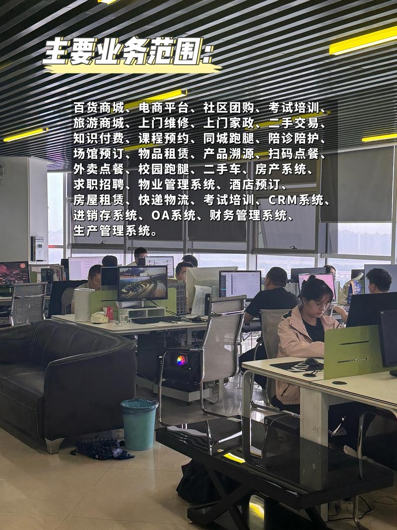 湖南岚鸿，定制信任的app开发公司如何塑造未来插图