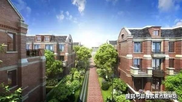 近期域名查询，深度解析与策略插图