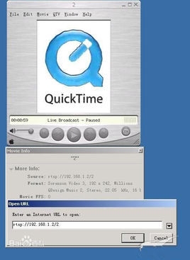局域网流媒体服务器软件，提升企业内部媒体管理的关键工具插图