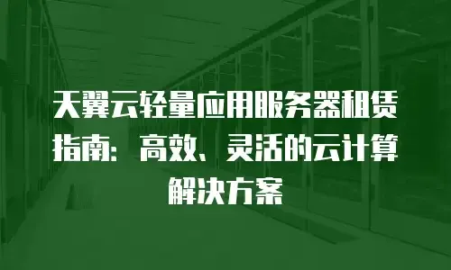 建站必备，服务器租赁指南插图