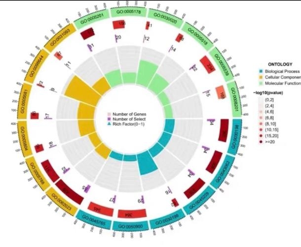 生信分析为何离不开服务器的支持？插图