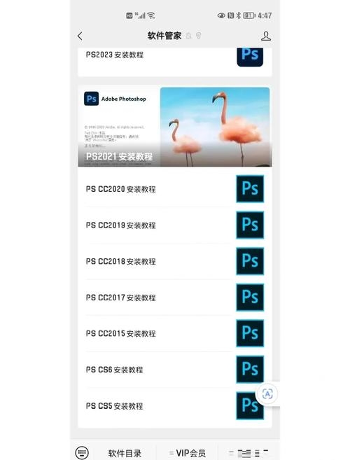 图片制作软件电脑版，选择与使用指南插图