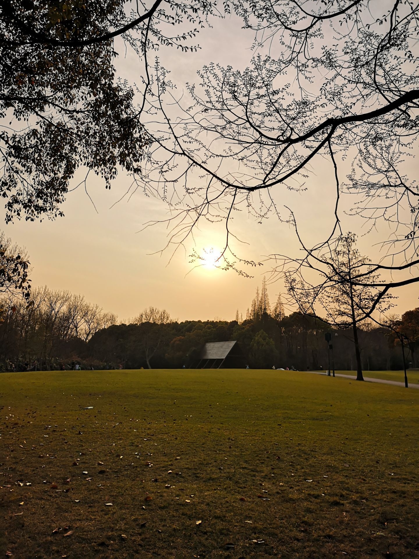 浦东免费游玩宝地，上海滨江森林公园、浦东美术馆等，探寻艺术与自然之美，还有更多免费景点等你来发现！插图